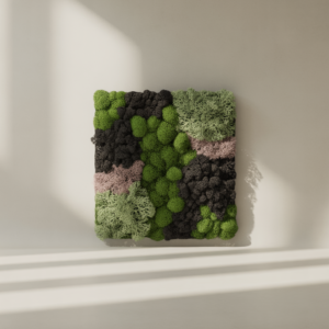 oeiaz0zo uwende4wnoxa